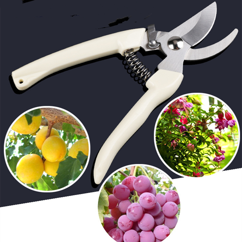 Bonsai Gardening - Pruner Orchard and The Garden Hand
