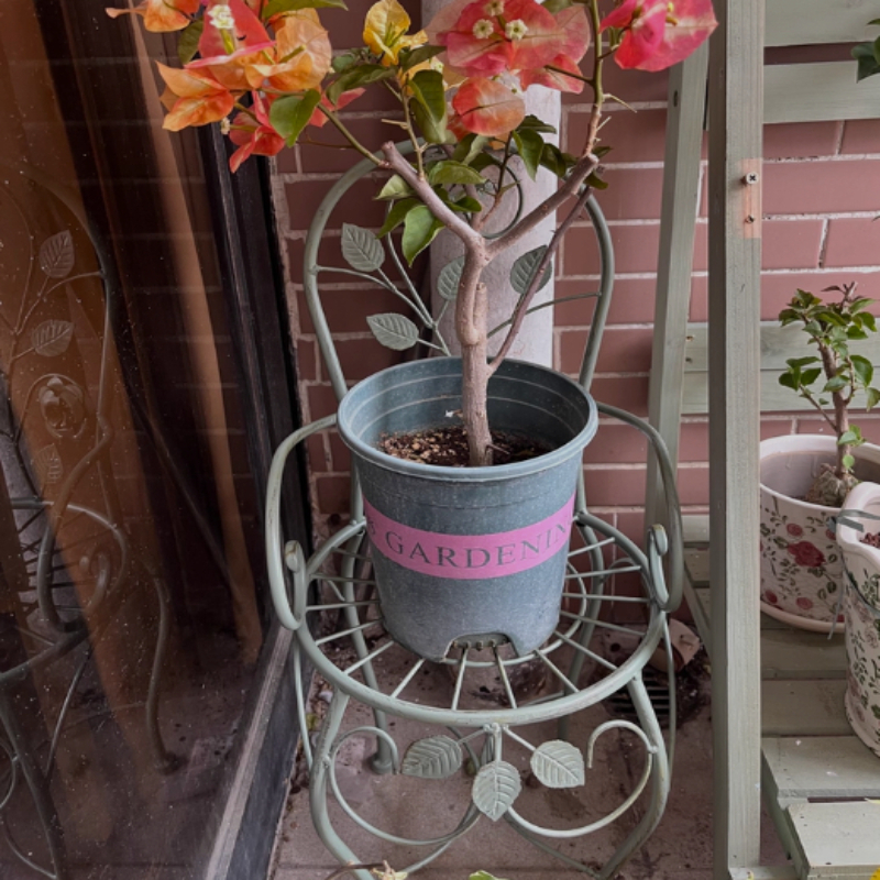 Bonsai Vertical Garden - Iron Rose Flower Stand Stool Vertical