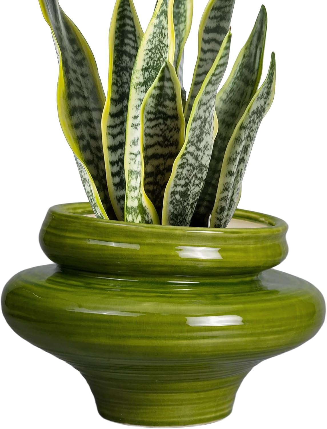 Bonsai Gardening - Large 11 Inch Ceramic Planter with