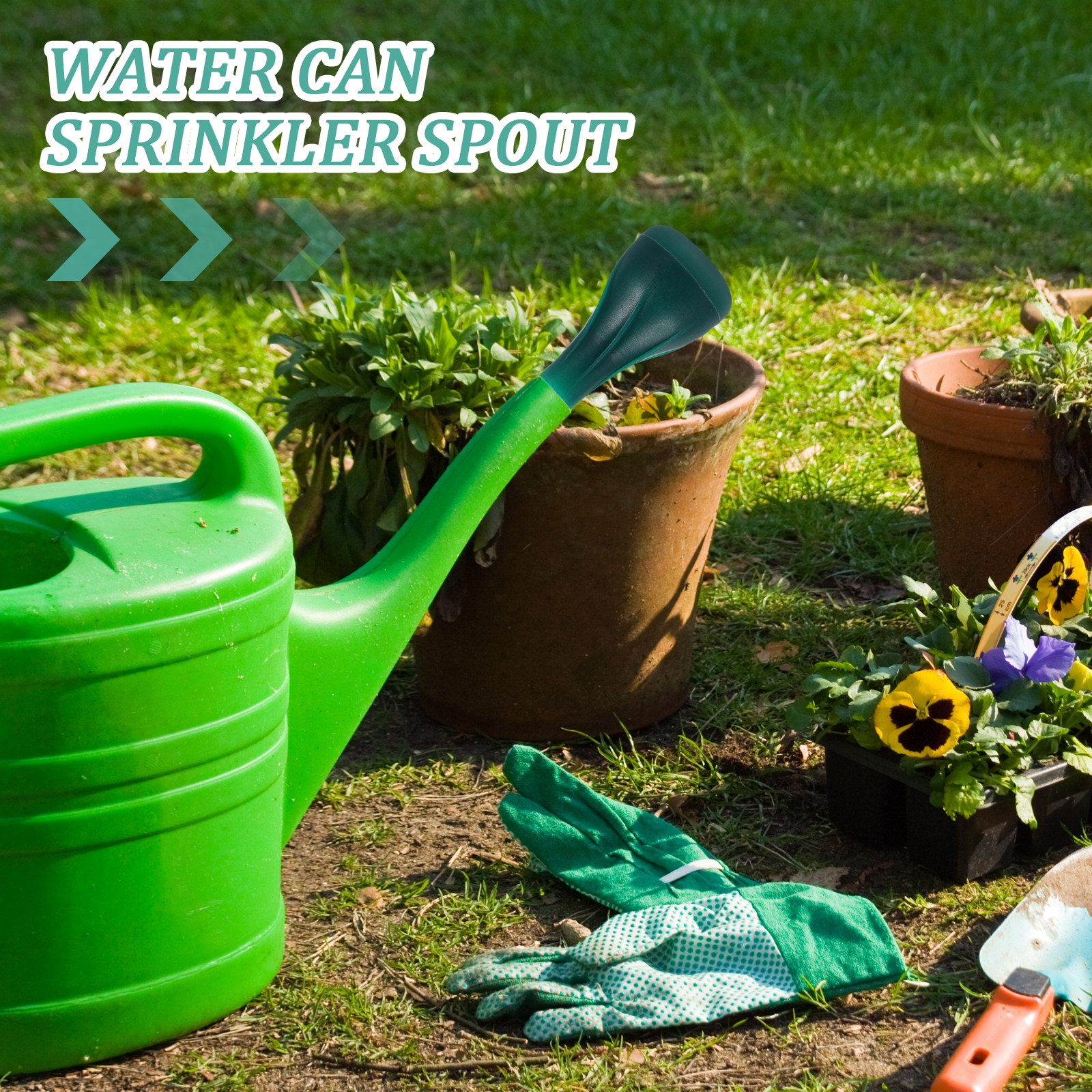 Water Can Sprinkler Head Compa - Bonsai Gardening recensie en prijs