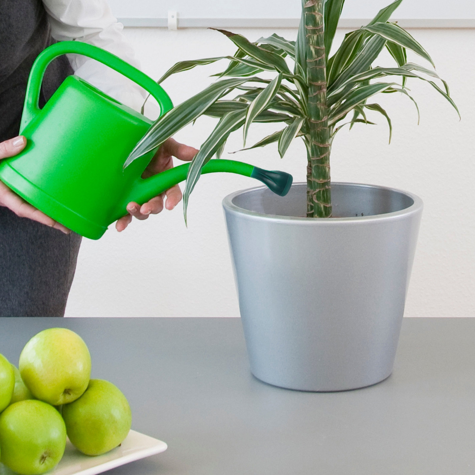 Water Can Sprinkler Head Compa - Bonsai Gardening recensie en prijs