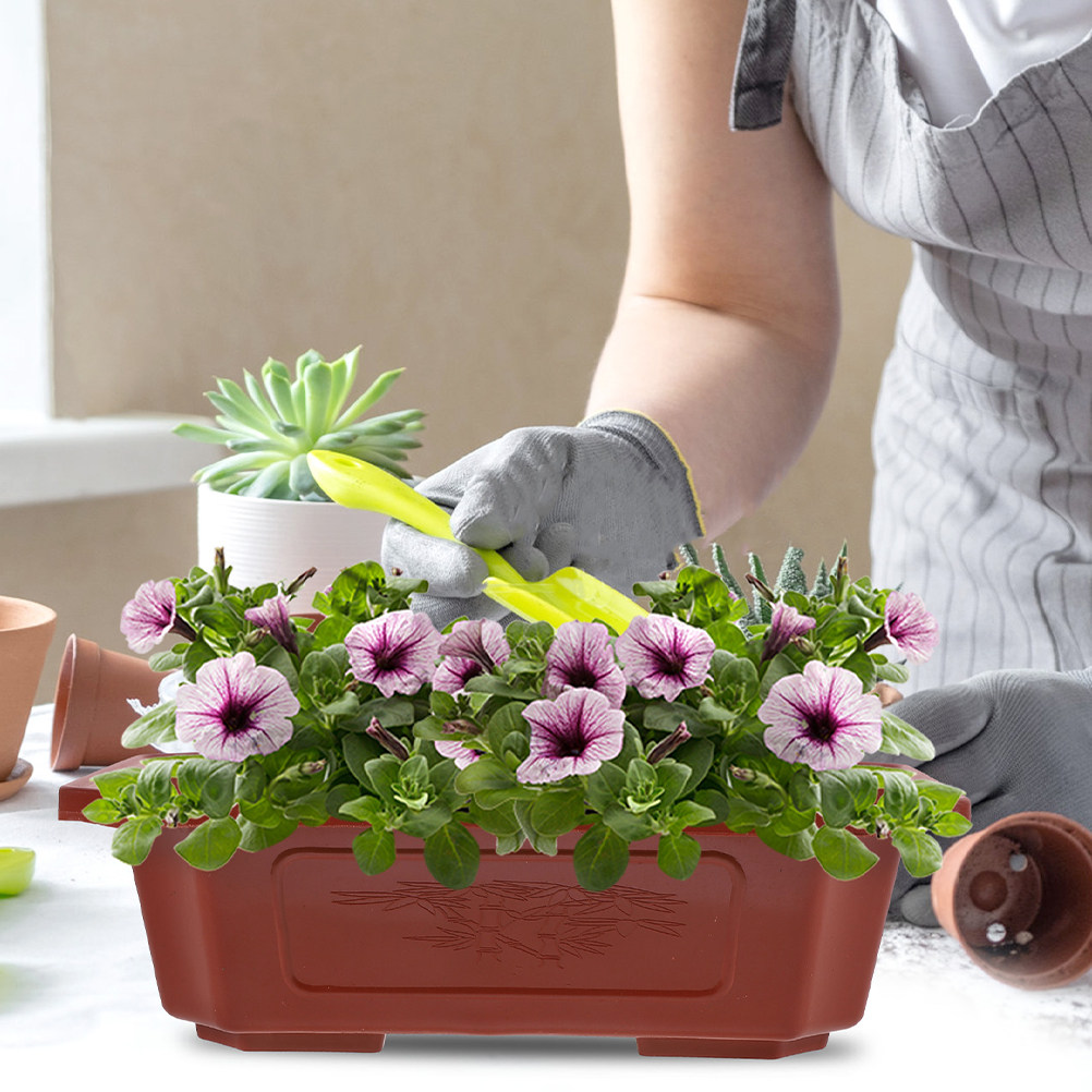 6Pcs Modern Plastic Bonsai Pot - Bonsai Vertical Garden recensie en prijs