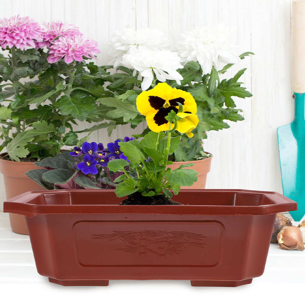 6Pcs Modern Plastic Bonsai Pot - Bonsai Vertical Garden recensie en prijs