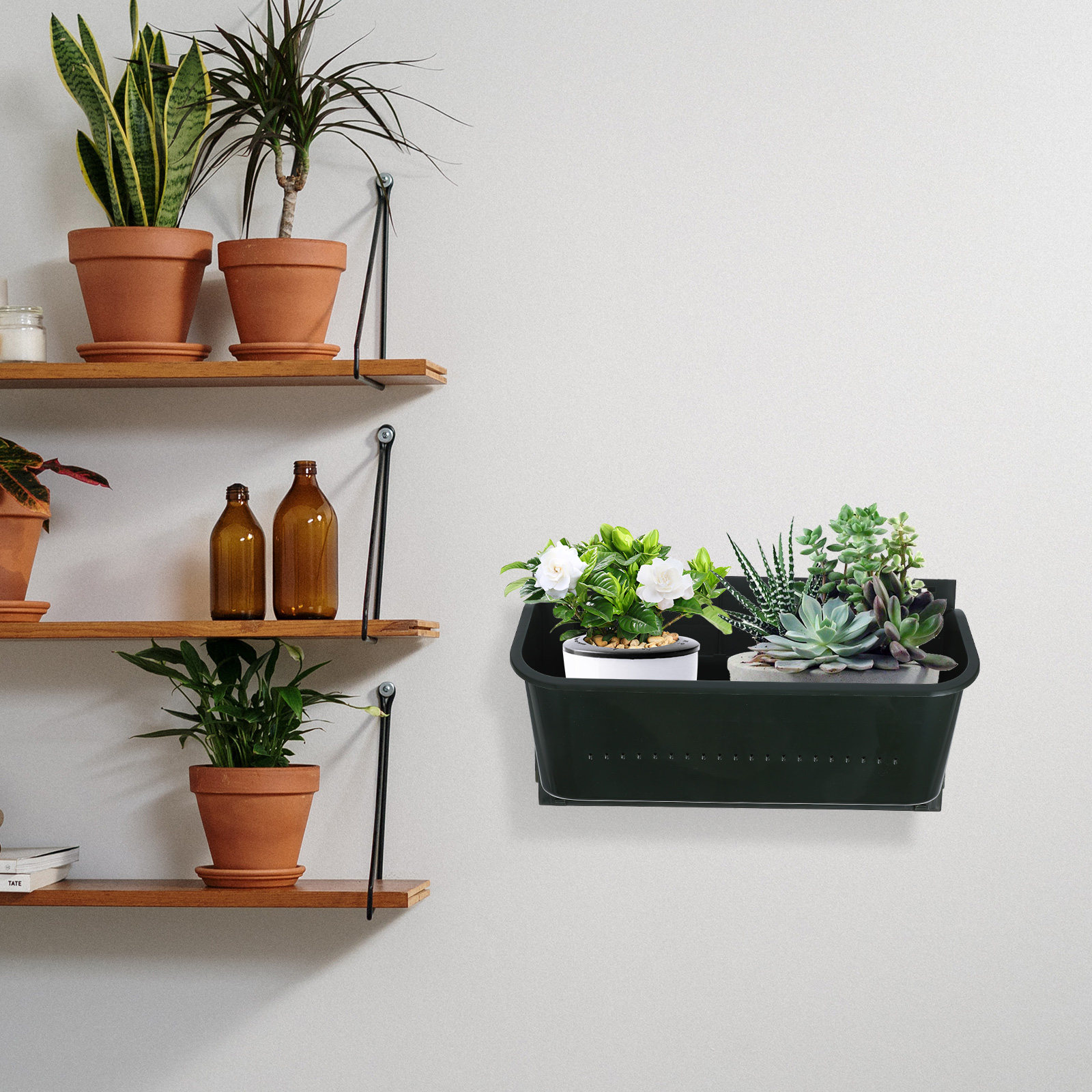 Wall Hanging Flower Pot Vertic - Bonsai Vertical Garden recensie en prijs