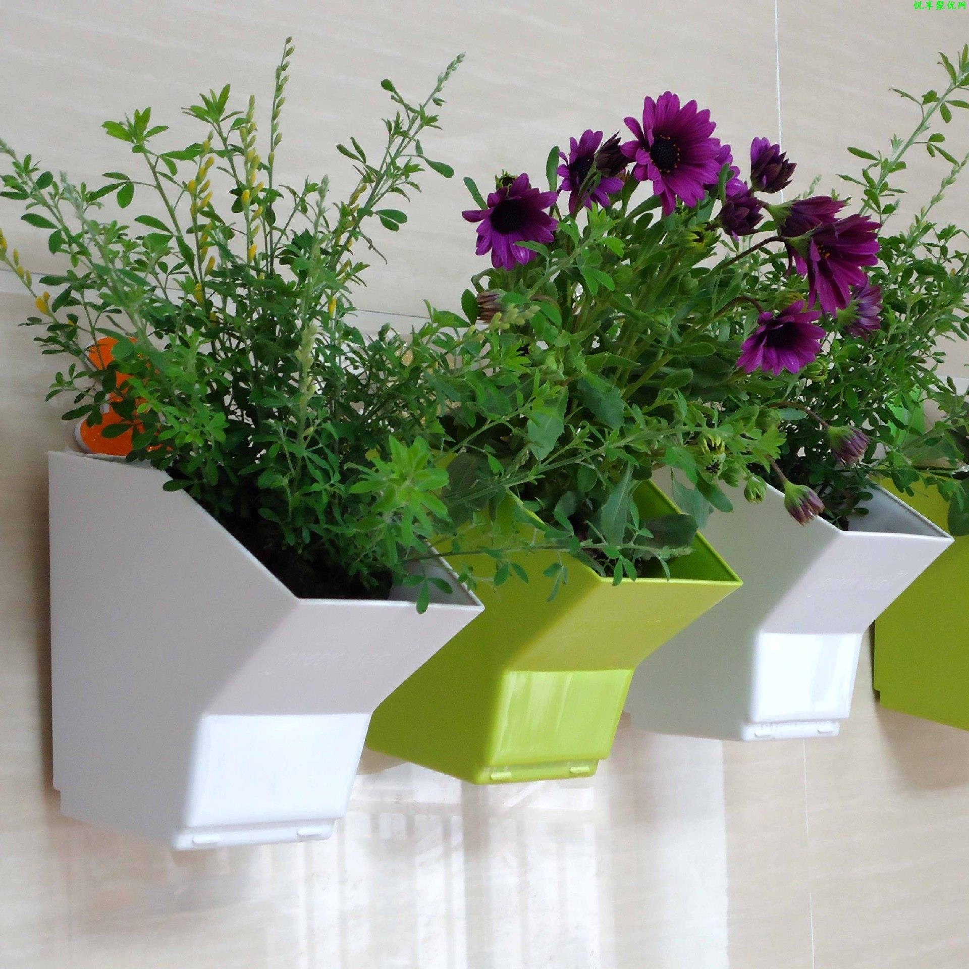 2 pcs Wall Hanging Planter Flo - Bonsai Vertical Garden recensie en prijs