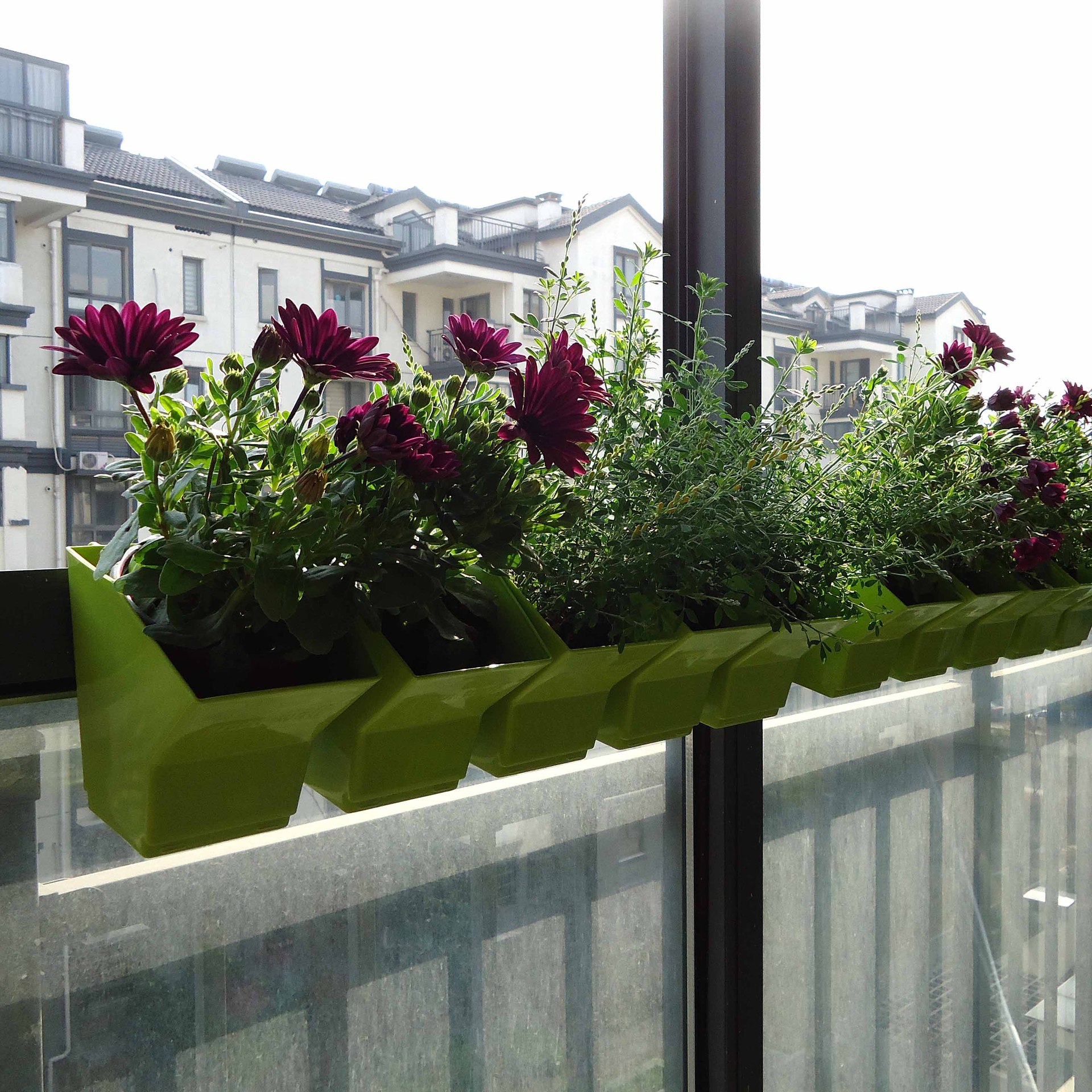 2 pcs Wall Hanging Planter Flo - Bonsai Vertical Garden recensie en prijs