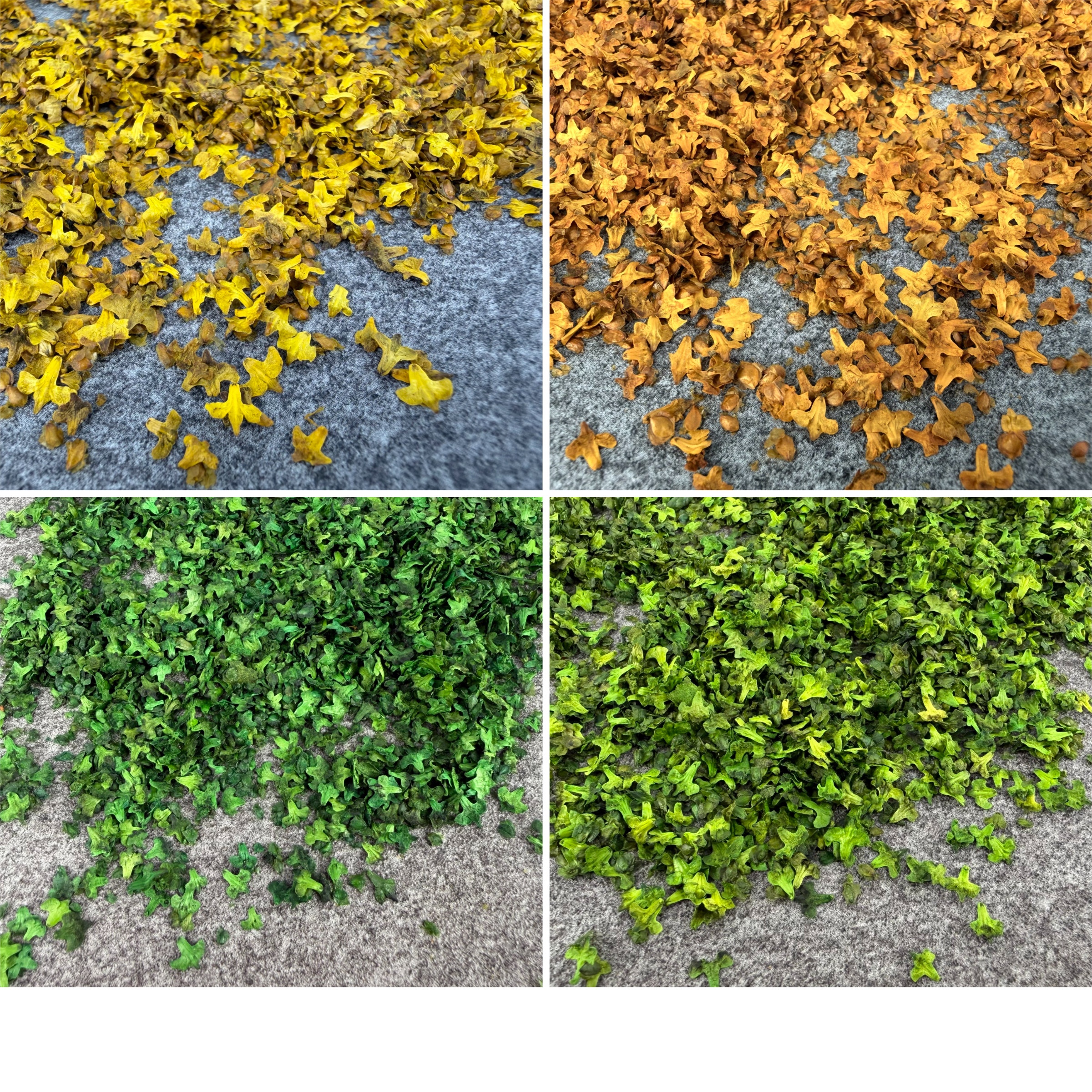 33ML Miniature Simulation Fall - Bonsai Garden Layout recensie en prijs