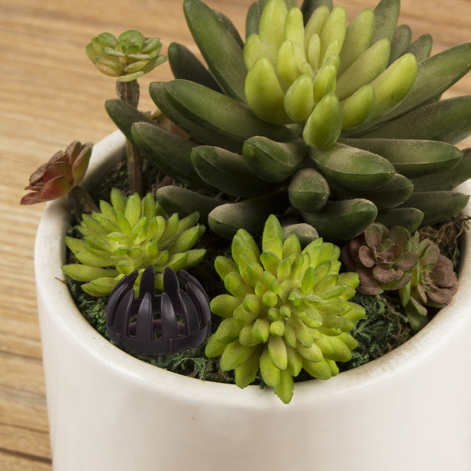 20Pcs Bonsai Fertilizer Basket - Bonsai Gardening recensie en prijs