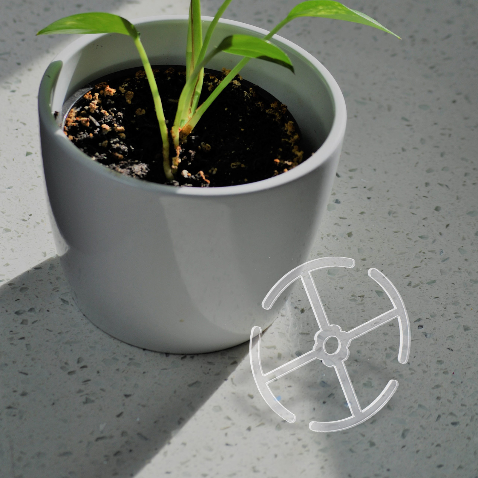 4Pcs Acrylic Stem Support Hold - Bonsai Vertical Garden recensie en prijs