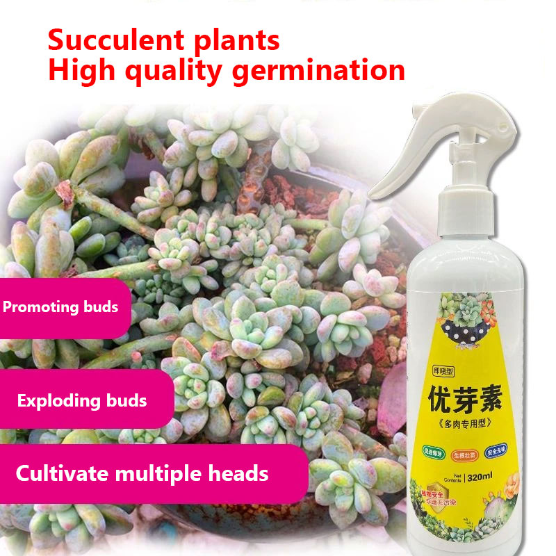 NEW Succulent Plant Eugenin Pr - Bonsai Soil Akadama recensie en prijs