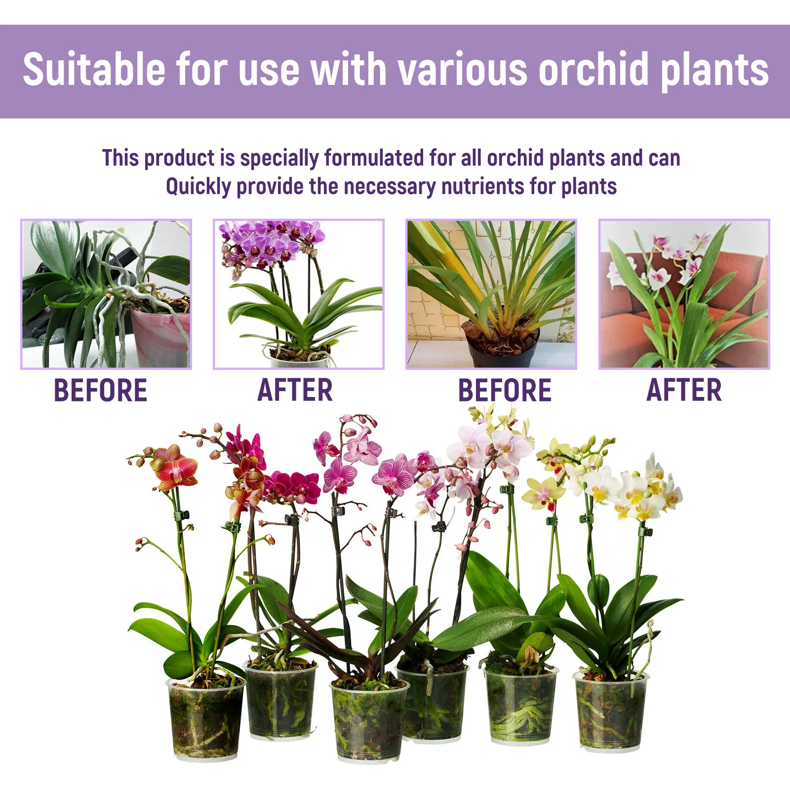50ml Orchid Special Liquid Flo - Bonsai Soil Akadama recensie en prijs