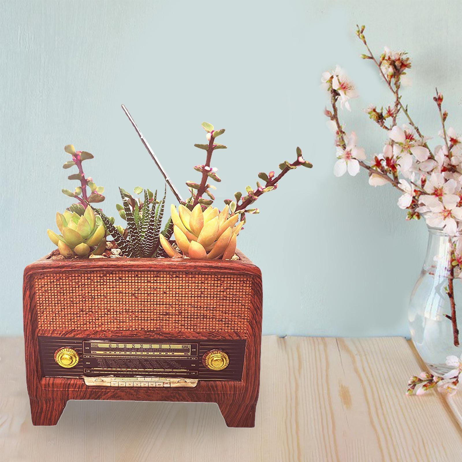 Resin Pot Radio Shape Supplies - Bonsai Garden And Cafe recensie en prijs