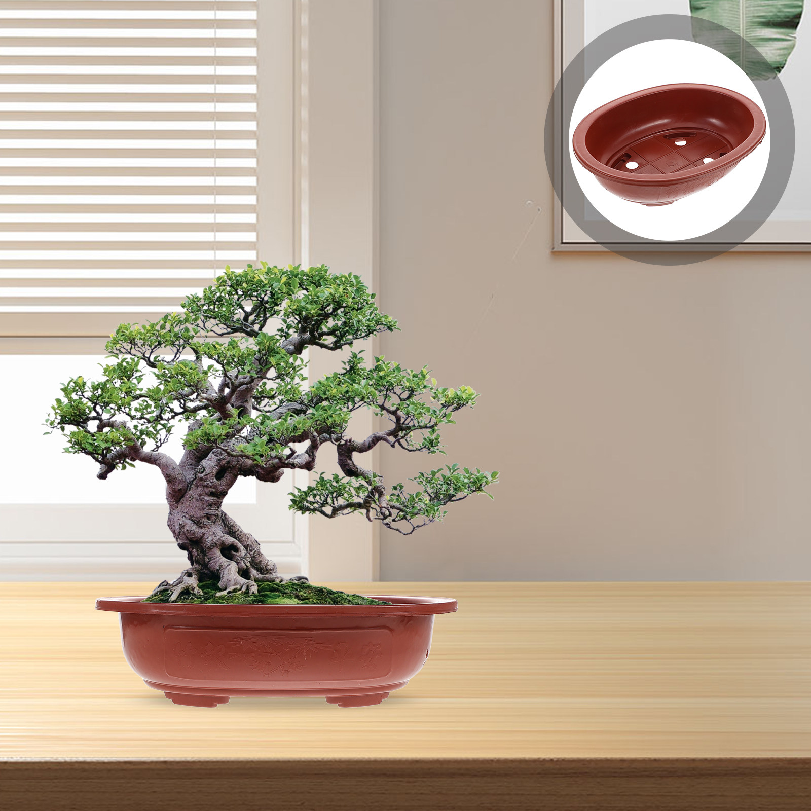 4Pcs Thickened Plastic Flowerp - Bonsai Vertical Garden recensie en prijs