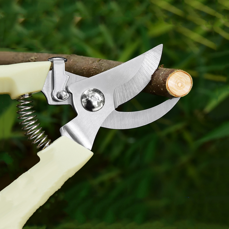 Pruner Orchard and The Garden  - Bonsai Gardening recensie en prijs
