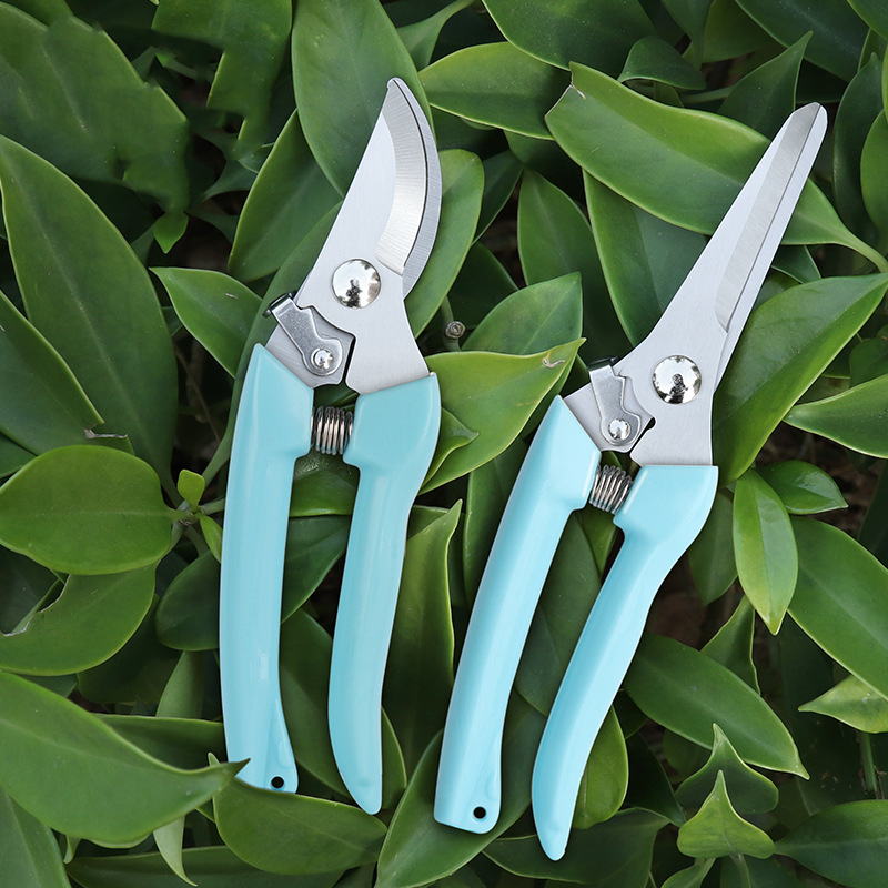Pruner Orchard and The Garden  - Bonsai Gardening recensie en prijs