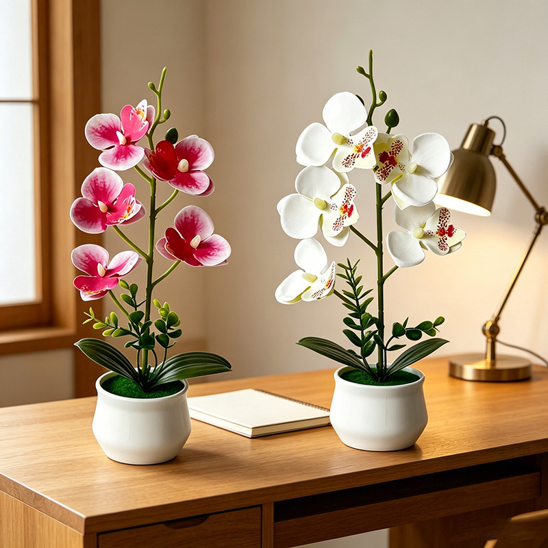 5 Flower Butterfly Orchid Simu - Bonsai Garden Layout recensie en prijs