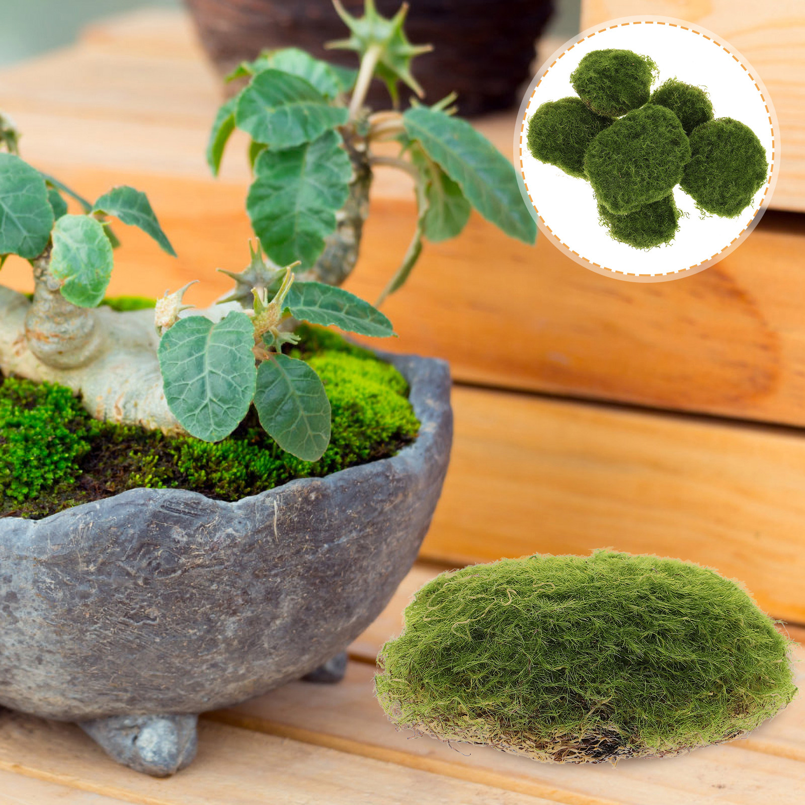6Pcs Premium Artificial Moss R - Bonsai Garden Layout recensie en prijs