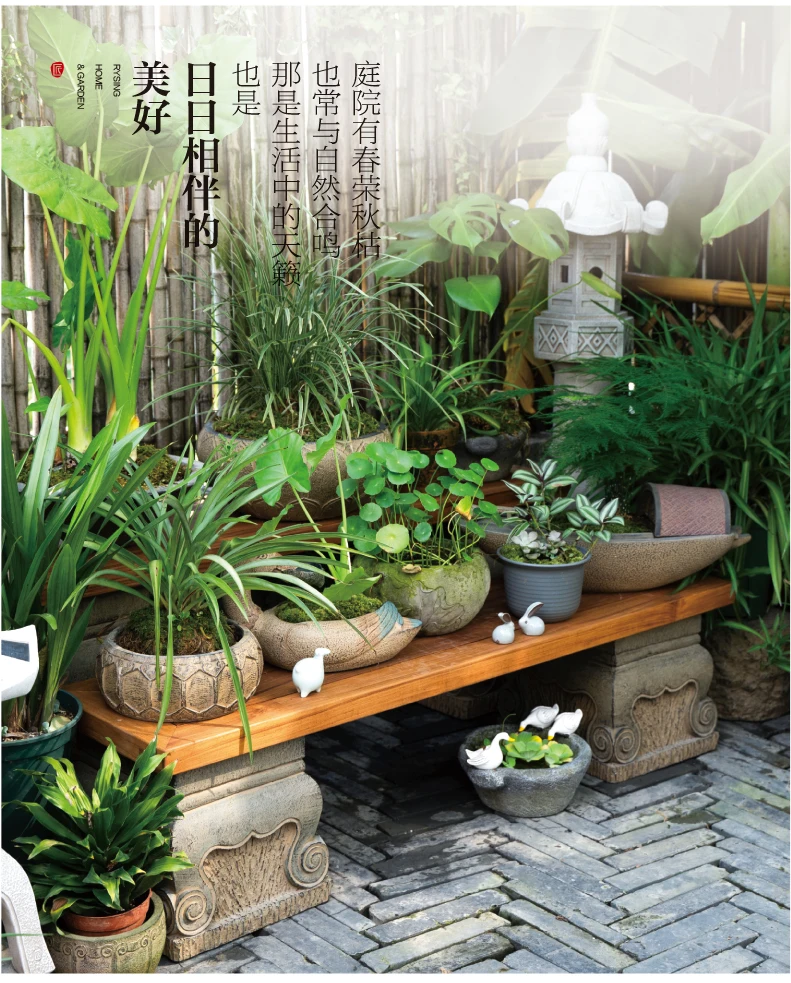 Terrace Garden Layout, Teak Ch - Bonsai Garden Layout recensie en prijs