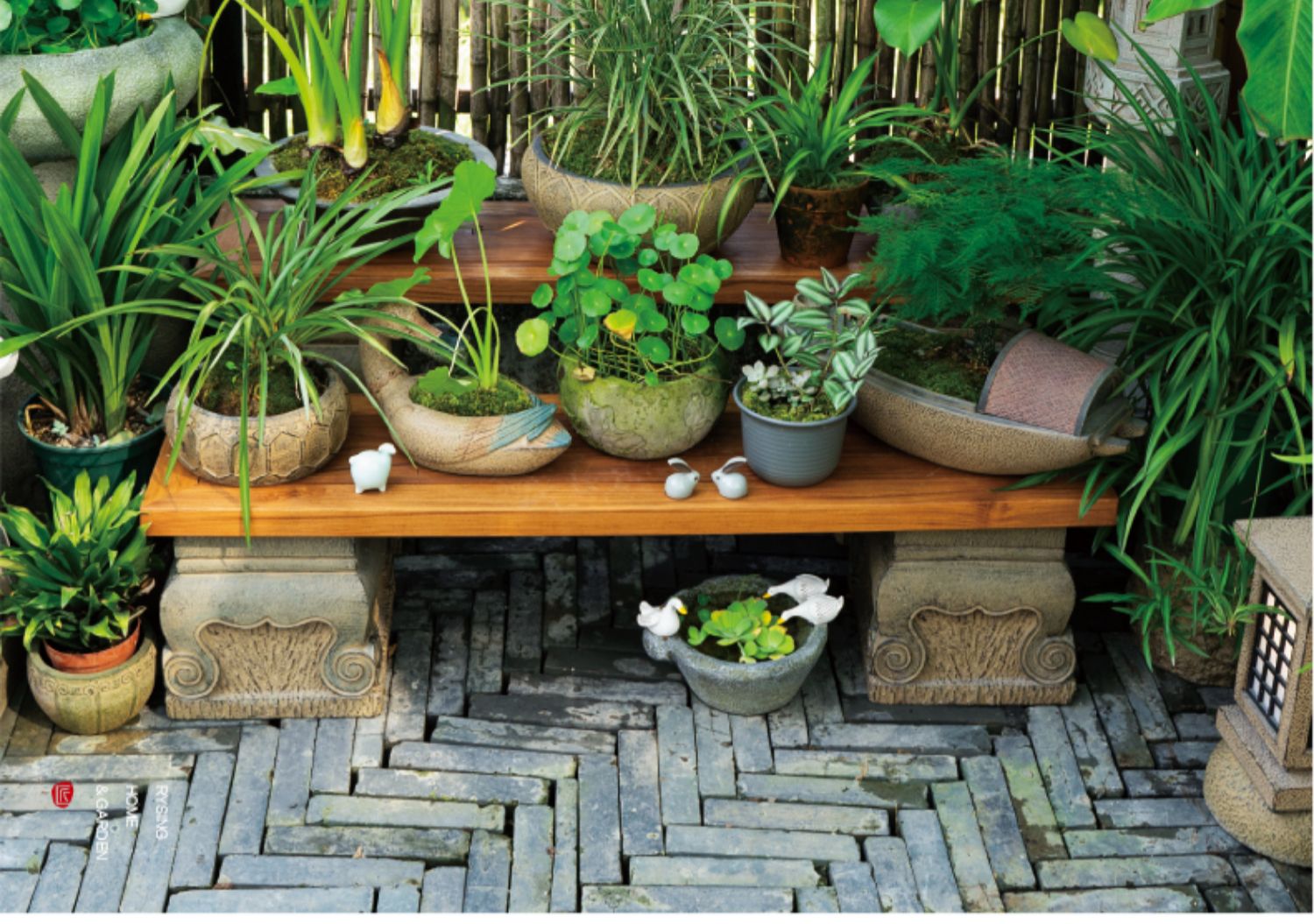 Terrace Garden Layout, Teak Ch - Bonsai Garden Layout recensie en prijs