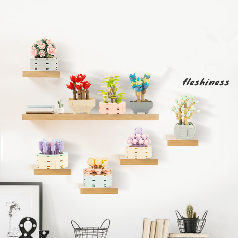 DIY MOC Potted Plants Succulen - Bonsai Garden Experts recensie en prijs
