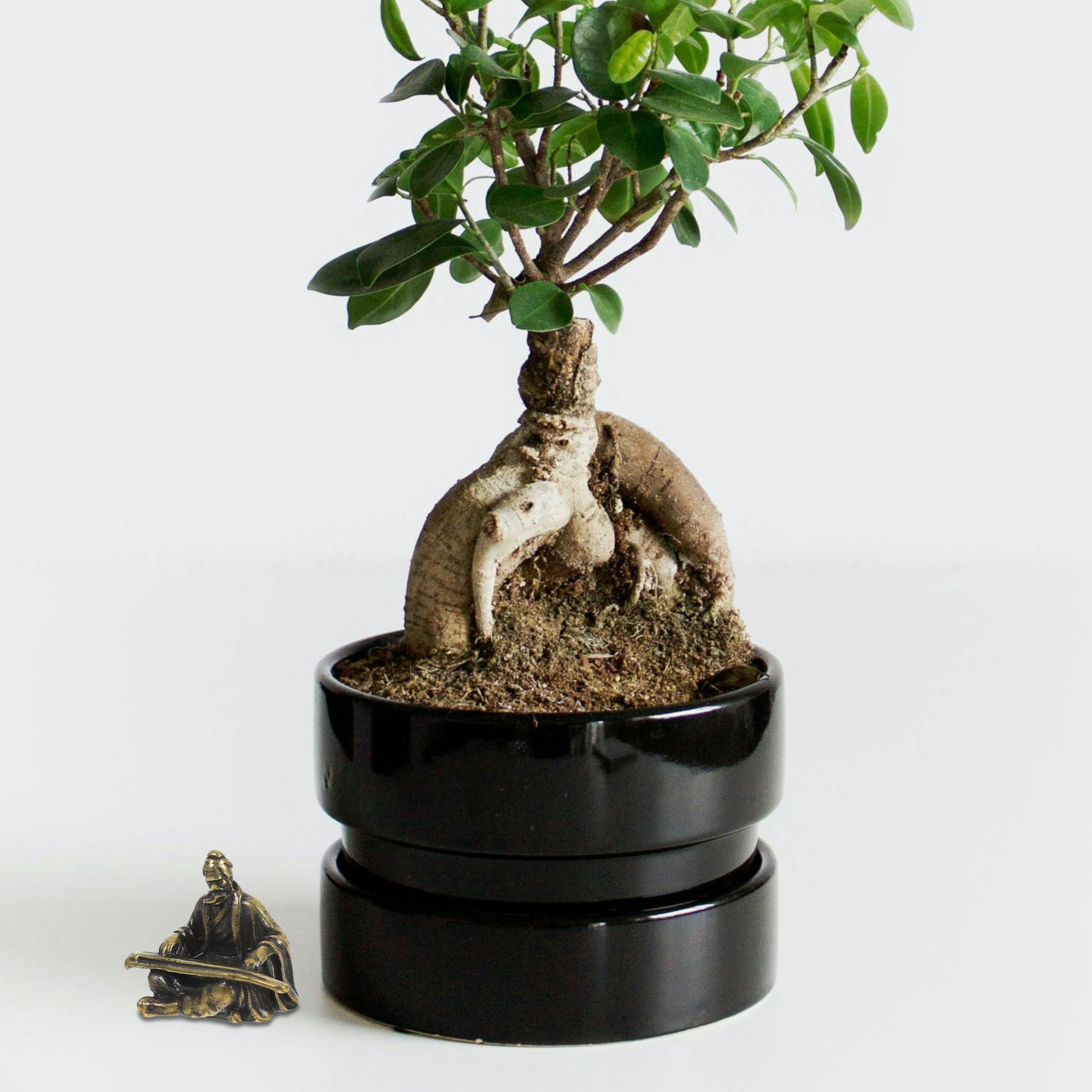 Copper Micro Landscape Ancient - Bonsai Garden Layout recensie en prijs