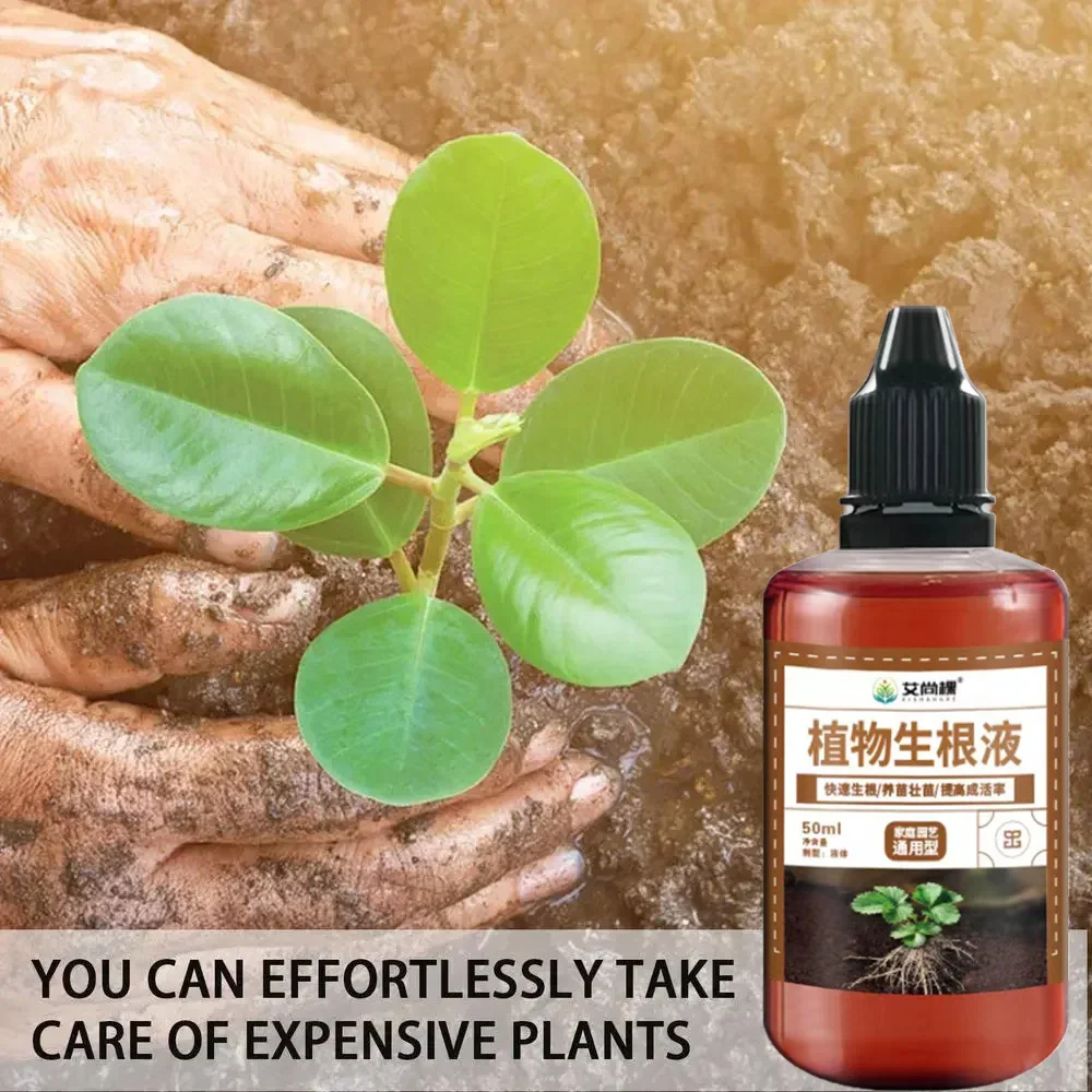 1Pcs Fast Rooting Stimulator P - Bonsai Soil Akadama recensie en prijs