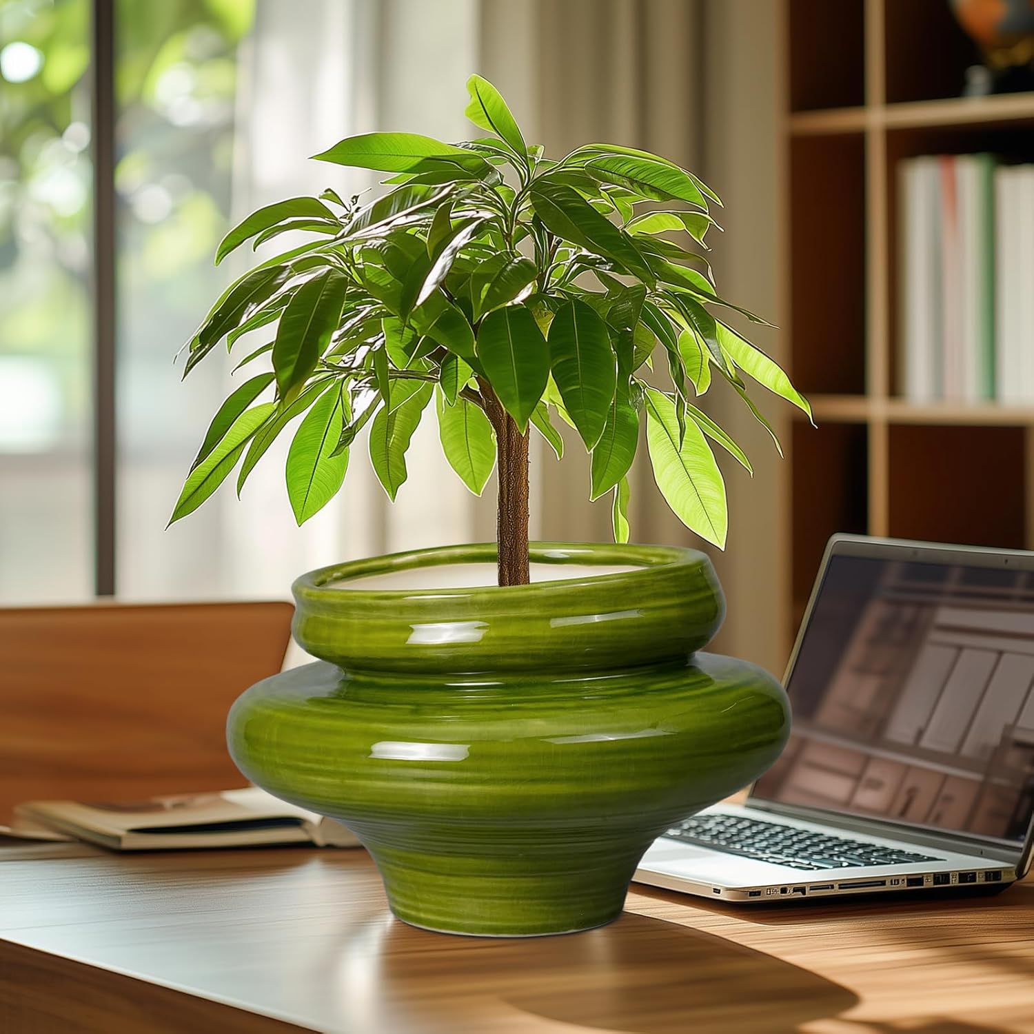 Large 11 Inch Ceramic Planter  - Bonsai Gardening recensie en prijs