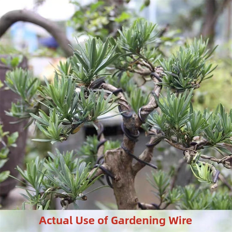 1.5MM Bonsai Wires Aluminum Bo - Bonsai Gardening recensie en prijs