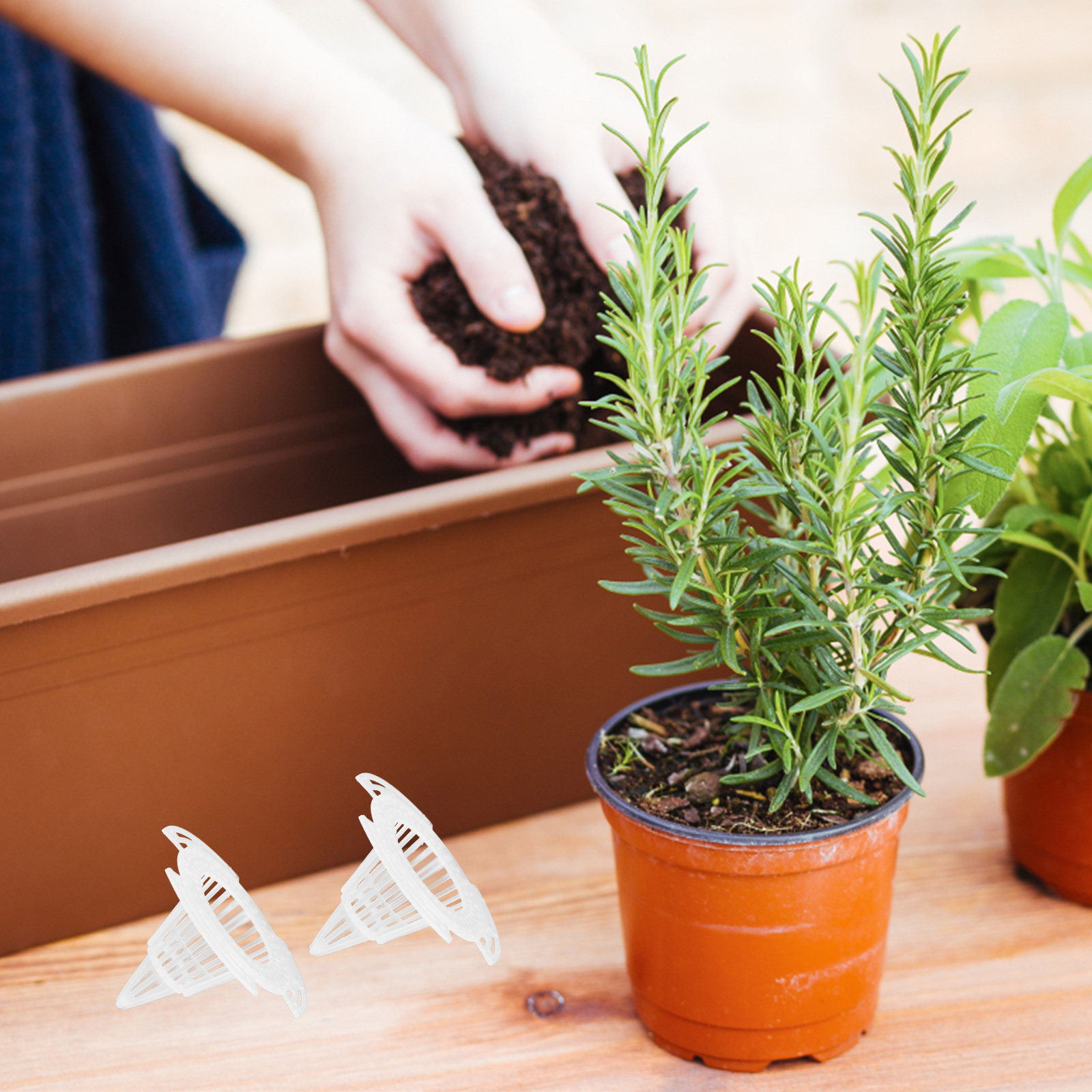 20Pcs Cone Flower Pot Hole Mes - Bonsai Garden And Cafe recensie en prijs
