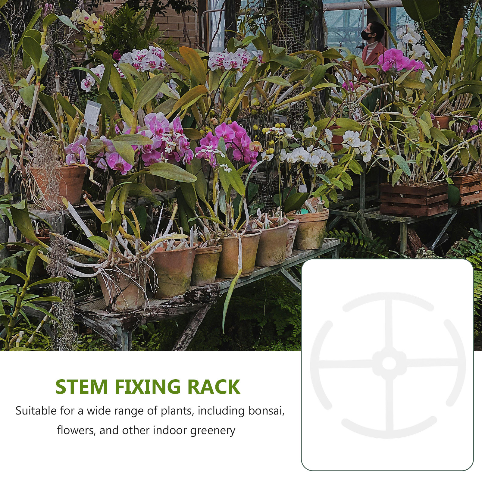 4Pcs Acrylic Plant Climbing St - Bonsai Vertical Garden recensie en prijs