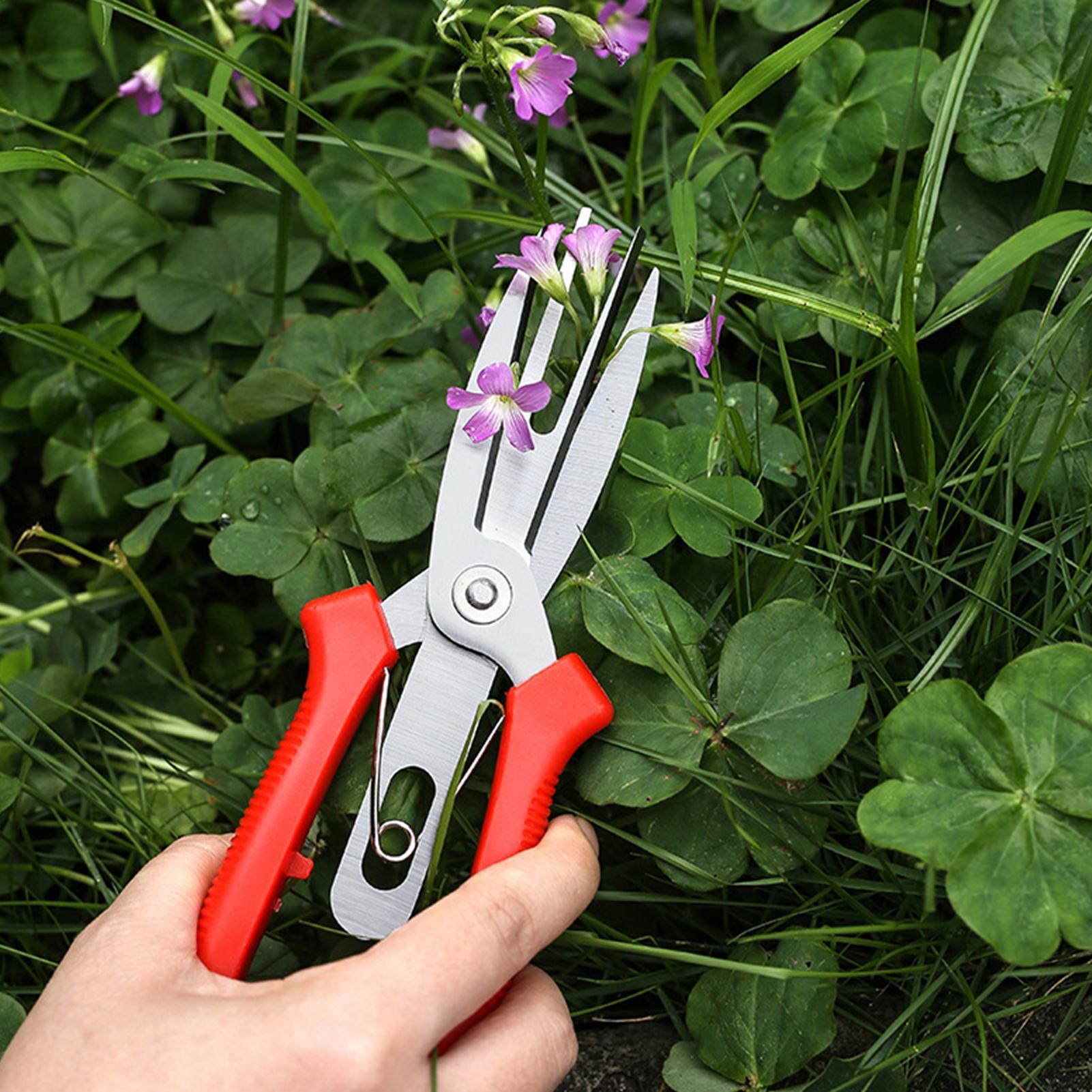 Garden Shears Stainless Steel  - Bonsai Gardening recensie en prijs