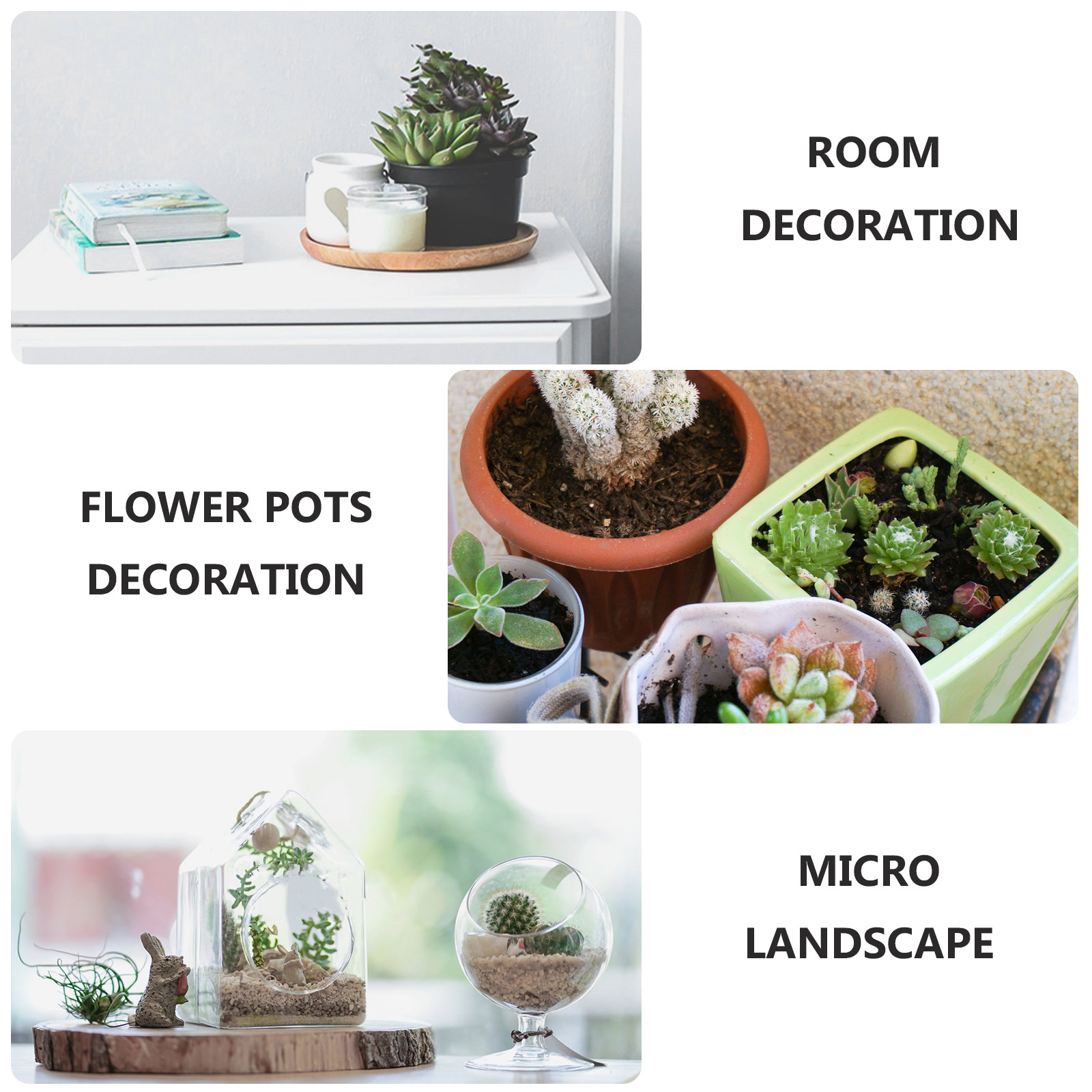12Pcs Moss Micro Landscape Res - Bonsai Garden Layout recensie en prijs