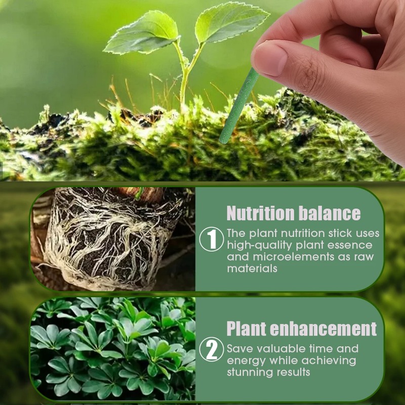Plant Slow-release Sticks Nutr - Bonsai Soil Akadama recensie en prijs
