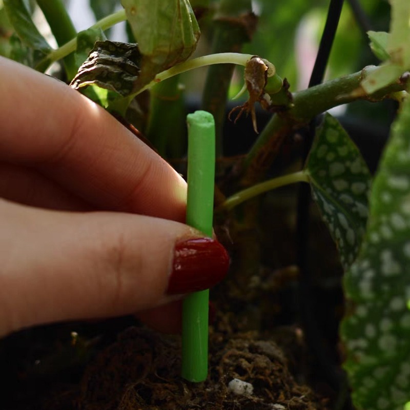 Plant Slow-release Sticks Nutr - Bonsai Soil Akadama recensie en prijs