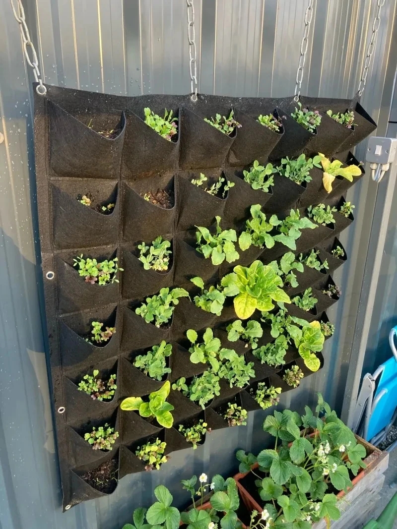 Wall Hanging Planting Bag Mult - Bonsai Vertical Garden recensie en prijs
