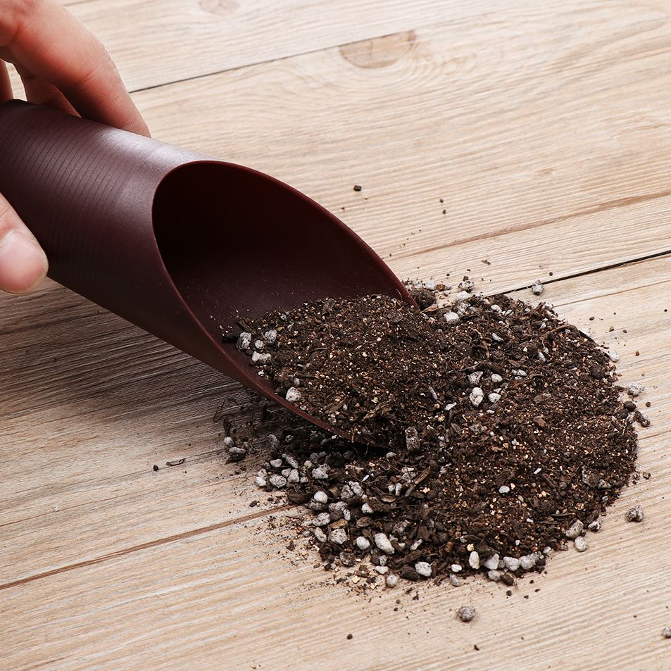 1PC Plastic Soil Shovel Cup Fo - Bonsai Garden Plants recensie en prijs